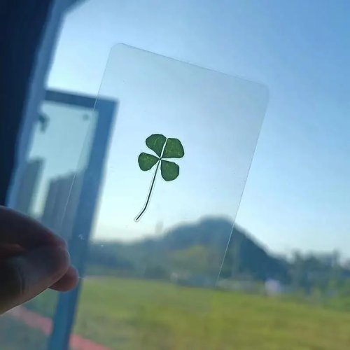 Postales Trébol de la Suerte transparentes — Tarjetas de deseos con trébol natural para separadores de libros (1/5/10 pz)