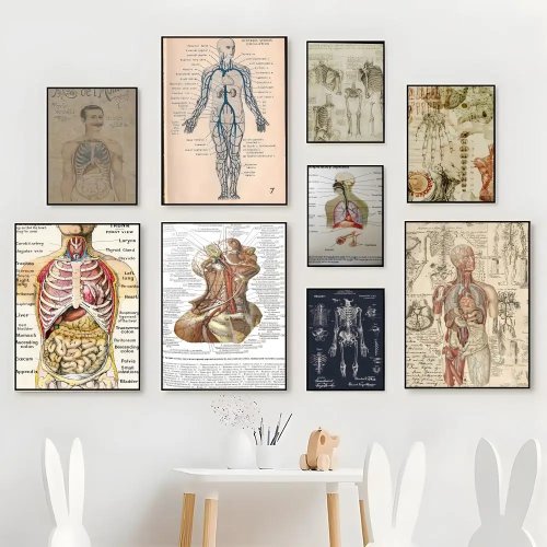 Toile encadrée rétro des systèmes d'organes du corps humain — Affiche anatomique HD pour chambre, café ou cadeau