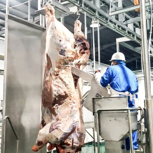 Projeto de matadouro com desenho gratuito - 200 bovinos por turno, linha de abate e processamento de carne bovina/búfala