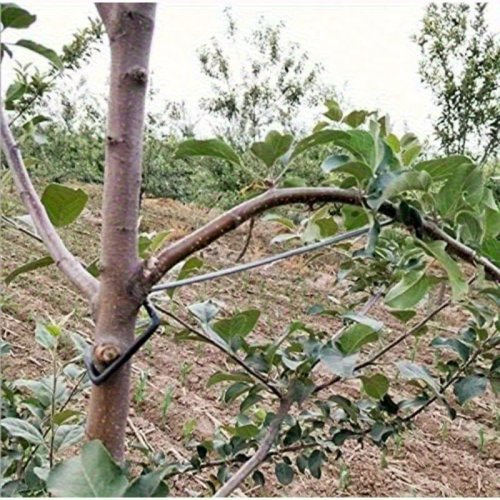 Kit metálico ajustable de soportes para ramas — soporte para arbolitos frutales y entrenamiento de plantines