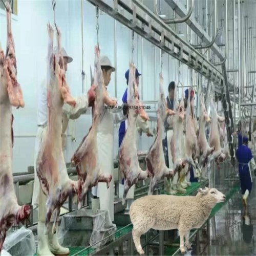 Linea di macellazione automatica per pecore in acciaio personalizzabile – Capacità 50–1000 capi per aziende agricole e impianti