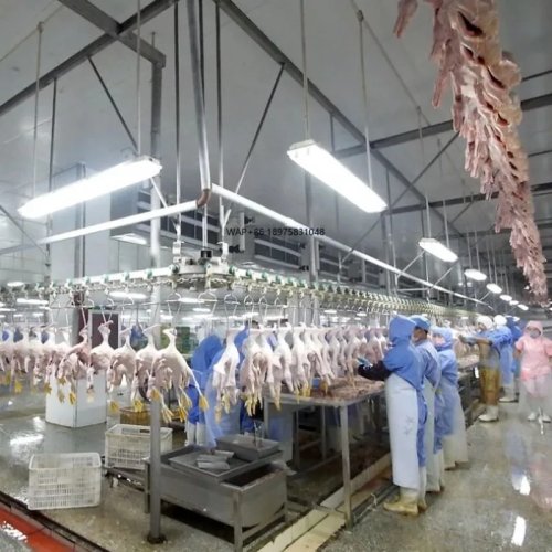 Mała linia produkcyjna do uboju drobiu – Wyposażenie rzeźni