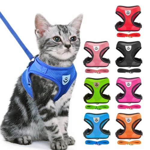 Áo yếm/harness cho chó bằng lưới (polyester) có dây dắt, điều chỉnh được – cho chó con và chó cỡ nhỏ–vừa