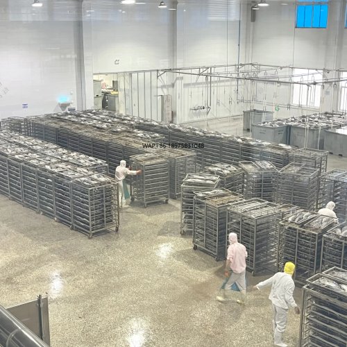 Linha de produção automática para enlatamento de atum e sardinha — equipamento industrial de alta qualidade