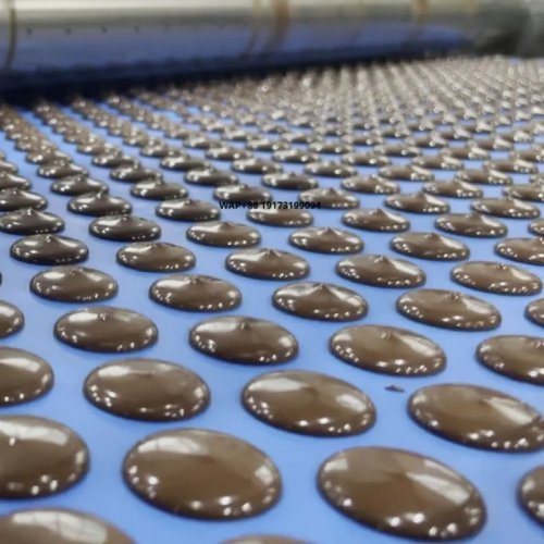 Servo Chocolate Depositing & Moulding Machine — production line for chocolate drops, buttons and chips