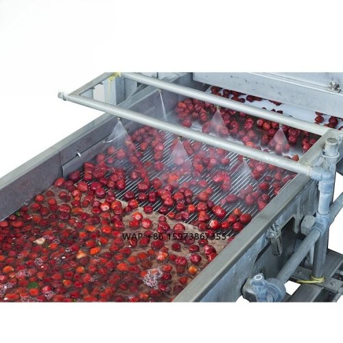 IQF-productielijn voor diepgevroren aardbeien — fruit- en groenteverwerkingsmachine — rechtstreeks vanaf de fabriek