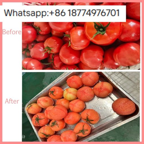 Máquina descascadora automática de frutas e legumes Long Kun para indústria — Capacidade 1 000–8 000 kg/h