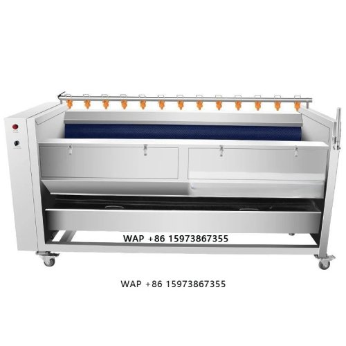 Automatic Bubble Fruit & Vegetable Washer