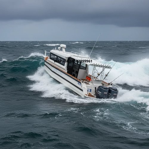 Bateau rapide aluminium 9 m (30 ft) avec cabine — ponton/bateau de pêche avec moteur hors-bord essence