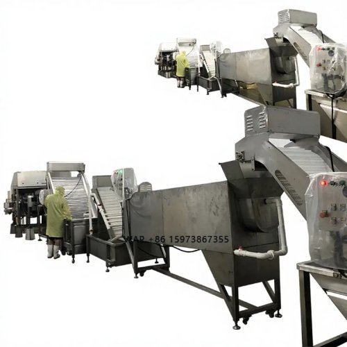Macchina automatica Zolim per rimozione teste di gambero 10,8 kW 380 V per linea di lavorazione