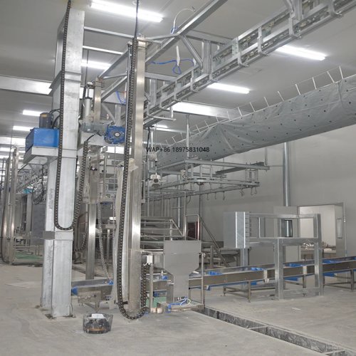 Automatyczna linia uboju Halal dla bydła, owiec i kóz – wydajność 500 sztuk, konstrukcja z wytrzymałej stali, wyposażenie rzeźni dla gospodarstwa