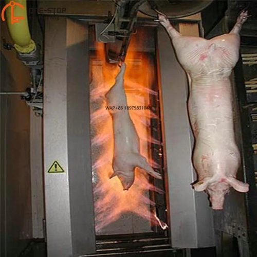 Macello suini standard — Impianto completo per la lavorazione della carne di maiale con attrezzature per la macellazione