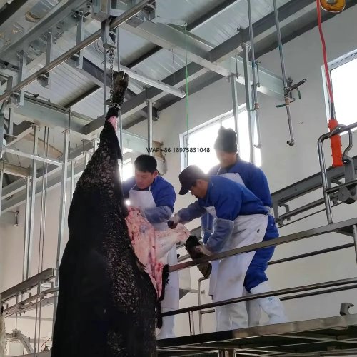 Sprzęt do uboju bydła zgodny z Halal — do nowoczesnej ubojni
