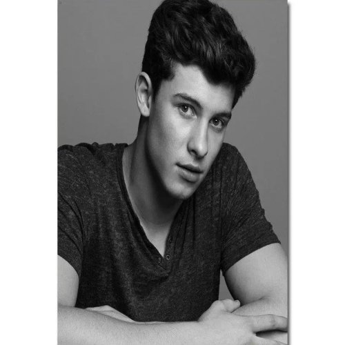 Shawn Mendes Silk Poster / Wall Sticker — Pop Singer Art Decoration, Gift