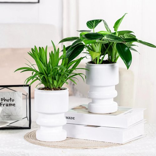 Maceta hidropónica de riego automático — maceta plástica absorbente de agua, ideal para casa y jardín