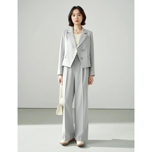 Allingentle Conjunto feminino 2 peças (blazer + calças) cinzento claro – Para escritório, personalizável
