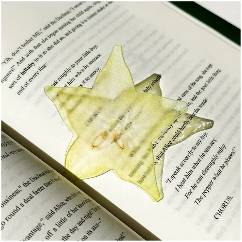 Transparent fruit bookmarks — apple, grape & tomato shaped page markers; delicate reading accessories, gift for students