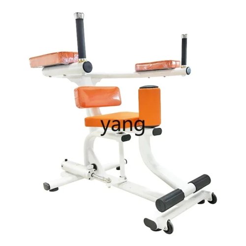 Trainer taille et abdos LH — Appareil de fitness d'intérieur pour seniors