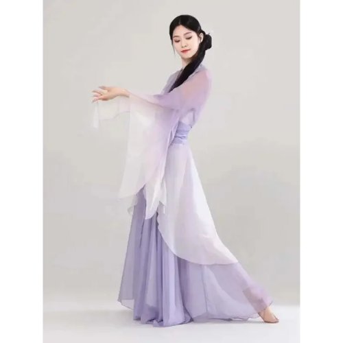 Traje de danza para mujer estilo chino: blusa de manga larga con velo de hada, vestido de escenario
