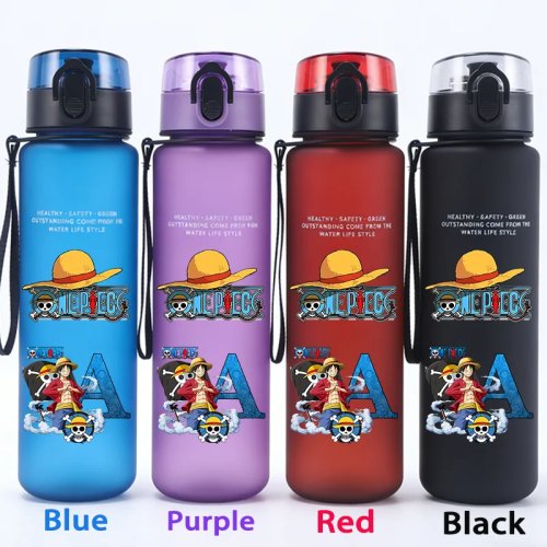 Gourde 650 ml One Piece (Luffy & Zoro) - Bouteille sport mate, anti-choc, portable, idée cadeau
