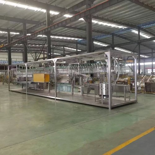 Linha compacta automática de abate de frangos 300–1000 aves/h, aço inoxidável, equipamento para matadouro
