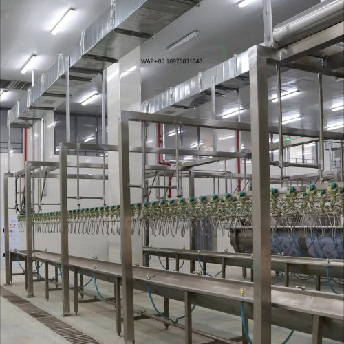 Équipement de transformation de volailles pour abattoir de poulets — En stock