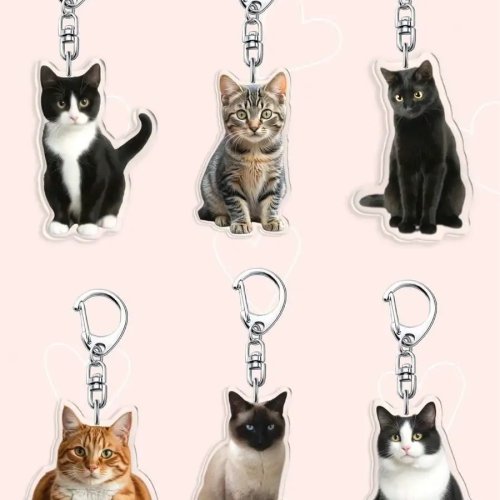 6er-Set 2D Acryl-Katzen-Schlüsselanhänger – Robuste Taschen-/Schlüsselanhänger mit 6 Motiven (Tuxedo, Cow, Ragdoll, Golden Shaded, Chinchilla, Siamese/Orange)