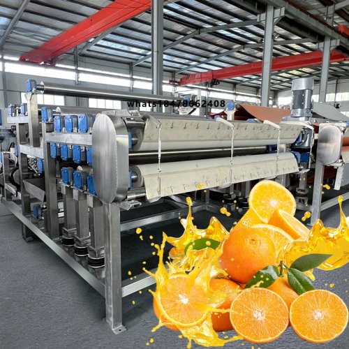 Prensa en banda automática industrial para zumo de frutas y limón – alta eficiencia, 220V, acero inoxidable 304 – línea de producción al por mayor