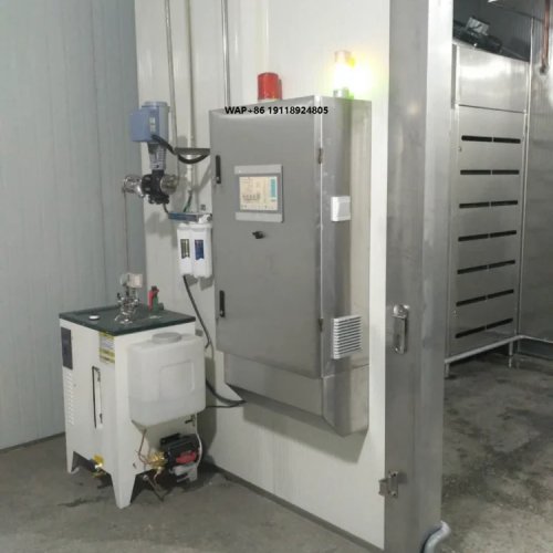 Camera professionale automatica per scongelamento e temperaggio della carne, bassa temperatura e alta umidità, armadio di conservazione