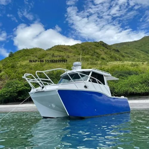 Modelo miniatura de yate de lujo — velero / yate de cabina / catamarán
