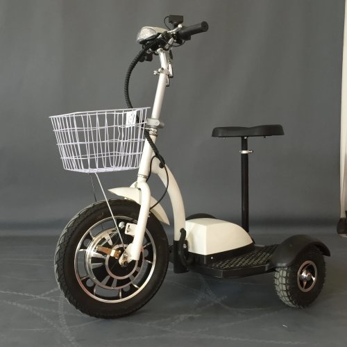 3‑Rad Elektro‑Trike 1000 W mit Fat‑Reifen