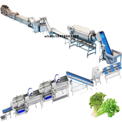 業務用果物・野菜加工ライン — 洗浄・選別・スライス・乾燥・包装までの一貫ライン（葉物野菜対応）