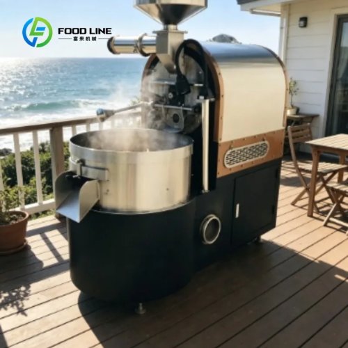 Coffee Bean Roaster for Home Kitchen with Transparent Lid and Temperature Dial