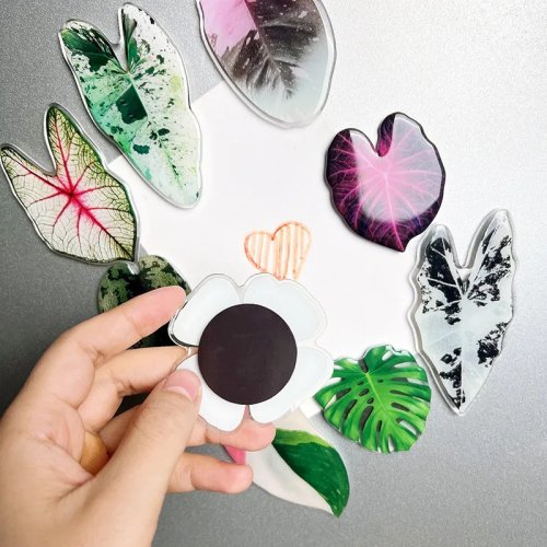 Set de 10 imanes para refrigerador Begonia y Monstera - Imanes kawaii de plantas tropicales, stickers para pizarra, decoración para casa
