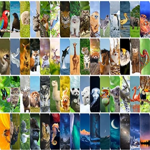 ที่คั่นหนังสือลายสัตว์ 300 ชิ้น — 60 ลาย สองด้าน น่ารัก แพ็คจำนวนมากสำหรับห้องเรียนและคนรักหนังสือ