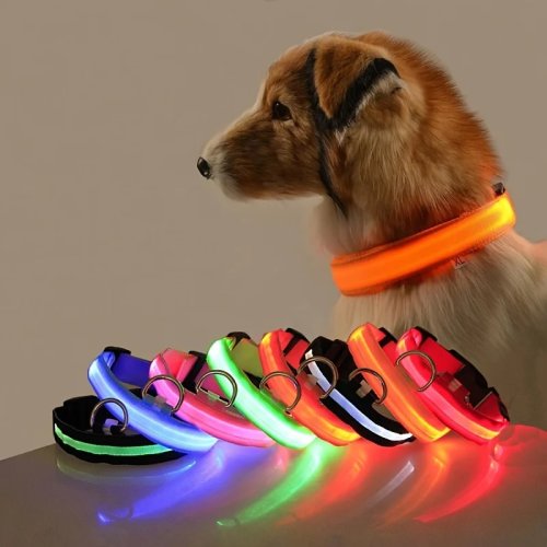 Nylon LED Dog Leash & Collar — Luminous/Flashing, Glow-in-the-Dark Safety Gear