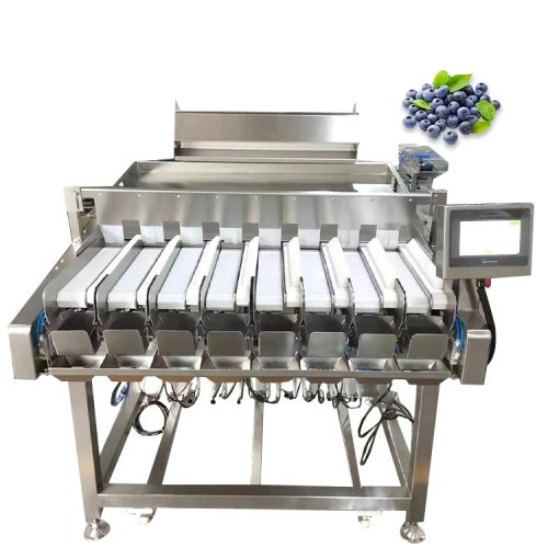 Máy phân loại, cân và đóng gói việt quất tự động