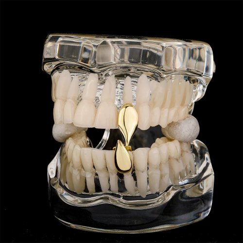Grillz nakładki na zęby złote/srebrne – Błyszczące, gładkie nakładki, mały kłowy wzór „tygrys”, biżuteria cosplay unisex