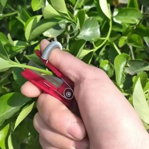 Handpflücker für Obst & Gemüse – Daumenmesser mit Abtrenner für Garten und Obstgarten