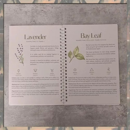 A70U — Nouveau guide complet des plantes médicinales pour la santé et la récupération : 82 herbes naturelles, pages non couchées — Idée cadeau pour les amateurs de bien‑être