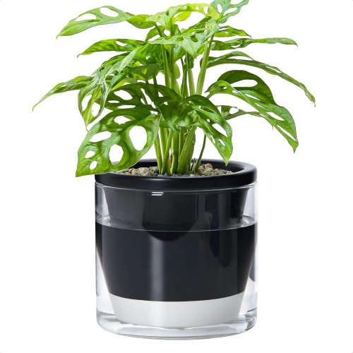 Maceta de autoriego 6 pulgadas para interior, maceta de terracota negra con vaso de vidrio cilíndrico