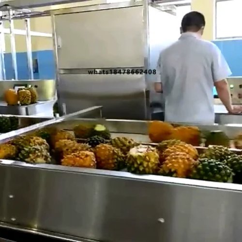 Automatic Industrial Pineapple Juice Processing Line – Concentrate Extractor Machine, Complete Production Plant