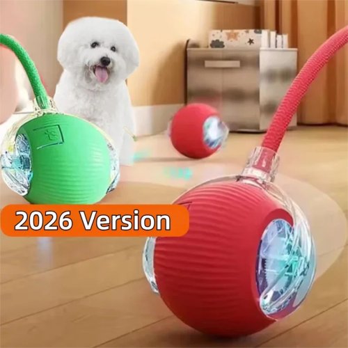 Automatic Rolling Interactive Dog Ball, Rechargeable Smart Toy for Puppies & Dogs