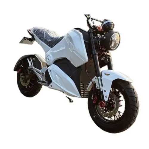 LUYUAN 大人向けエンデューロ電動バイク（ペダル付）- 4000W／5000W／8000W