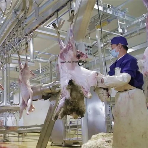 Băng tải cho lò mổ dê — thiết bị chế biến thịt cho giết mổ theo nghi lễ/halal