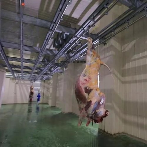 Beef slaughterhouse & butcher equipment — cattle processing and cutting machines for abattoirs
