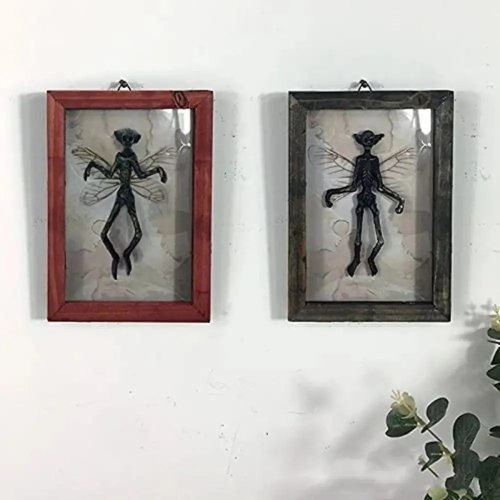 Cornice fotografica gotica 'esemplare fantasma' — tassidermia e curiosità, decorazione per Halloween