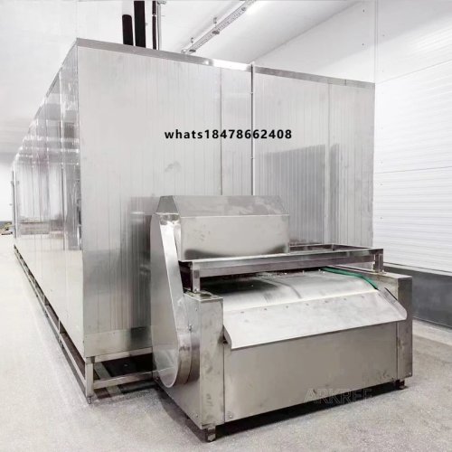 Tunnel de lavage modulaire pour fruits et baies, design hygiénique, inox SUS304, machine de transformation alimentaire intelligente