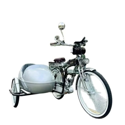 Sepeda Tiga Roda Retro Aloi Hijau Ramah Lingkungan - Becak untuk Bersepeda Luar Ruangan