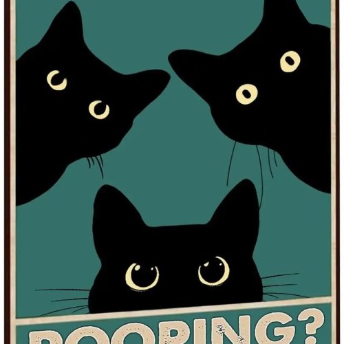 Targa in latta gatto nero divertente 'Stai facendo la cacca?' Decorazione bagno 20×30 cm
